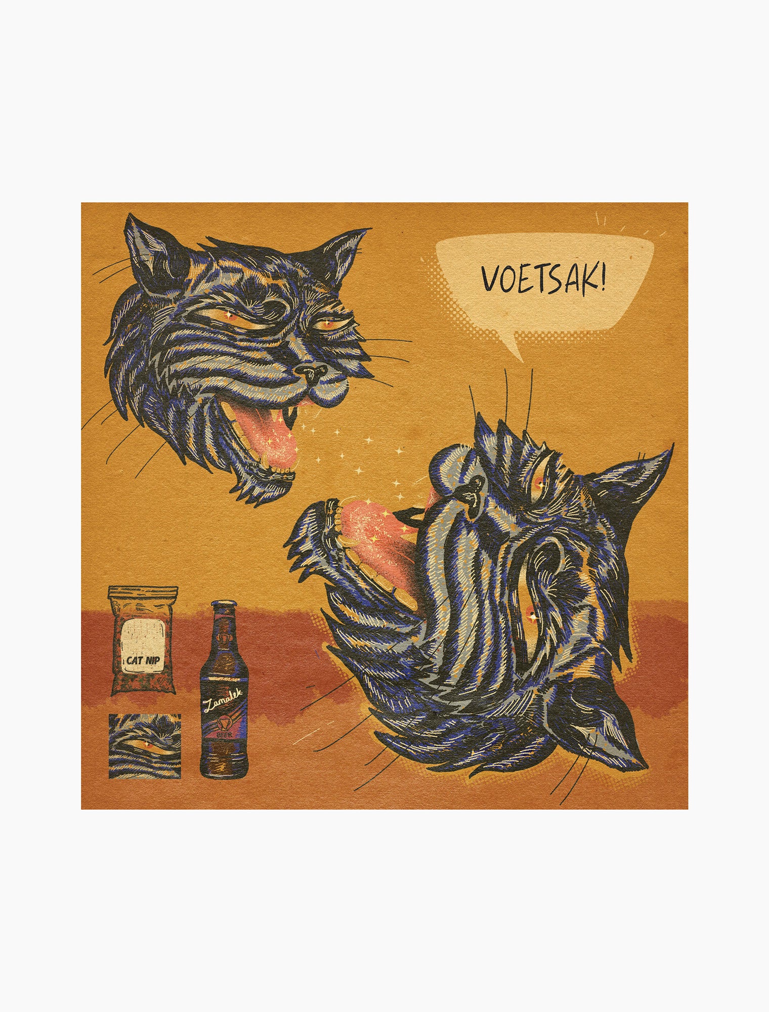 Voetsak Cat