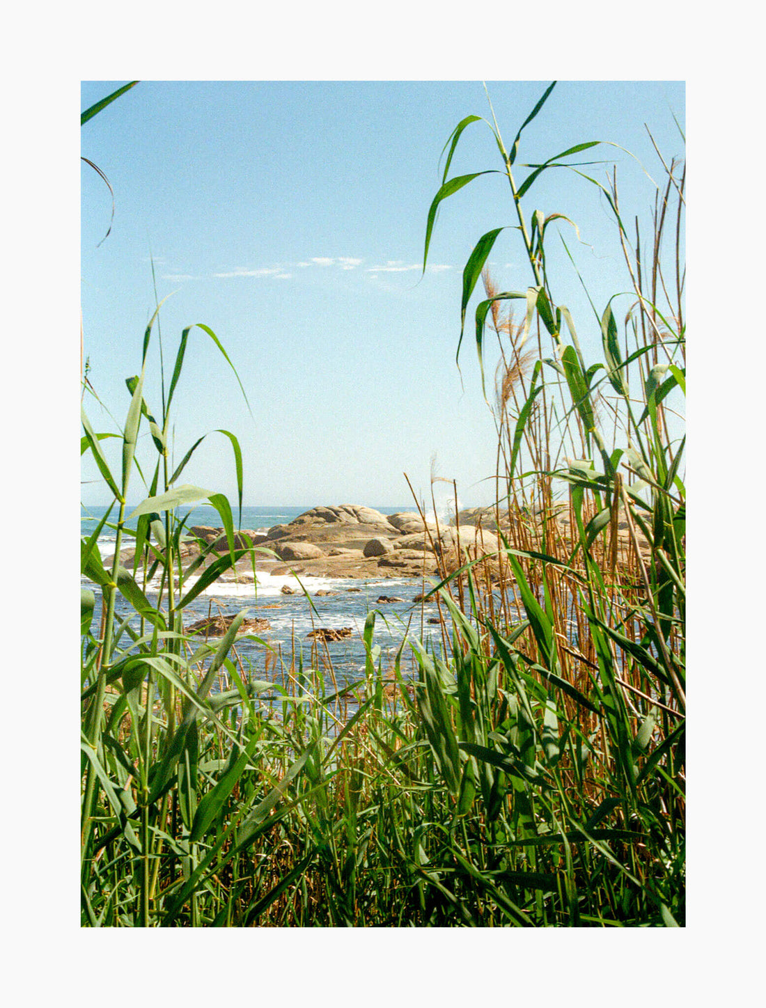 Day Spent at the Beach