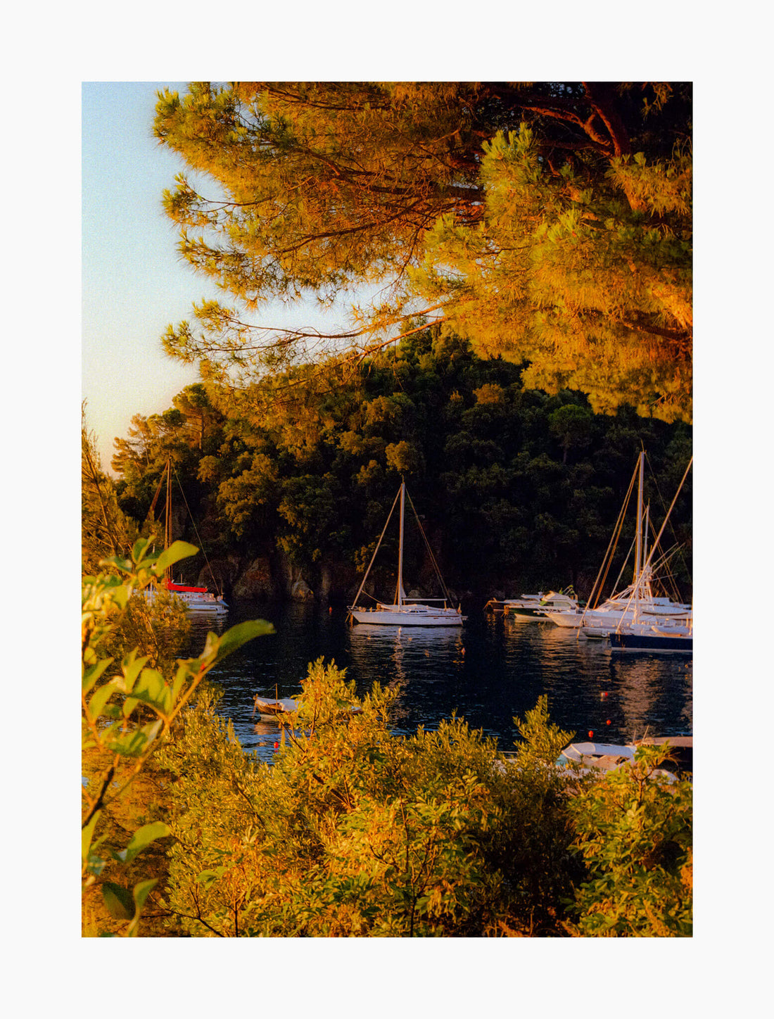 First Light in Portofino