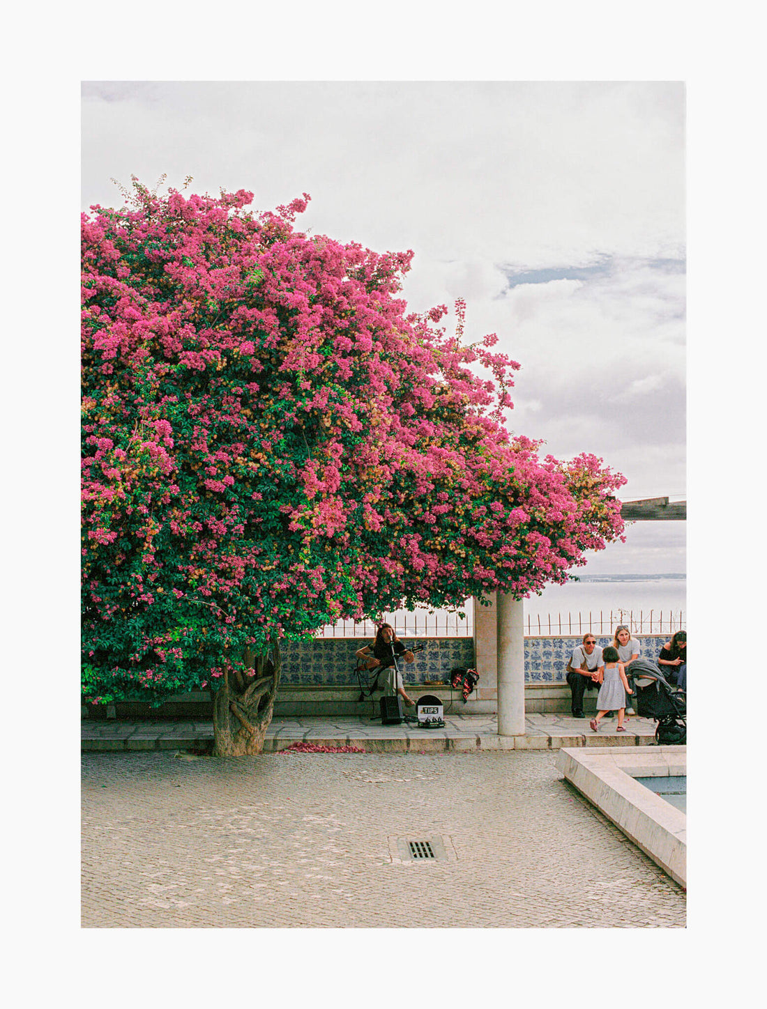 In the Singing Streets of Lisbon