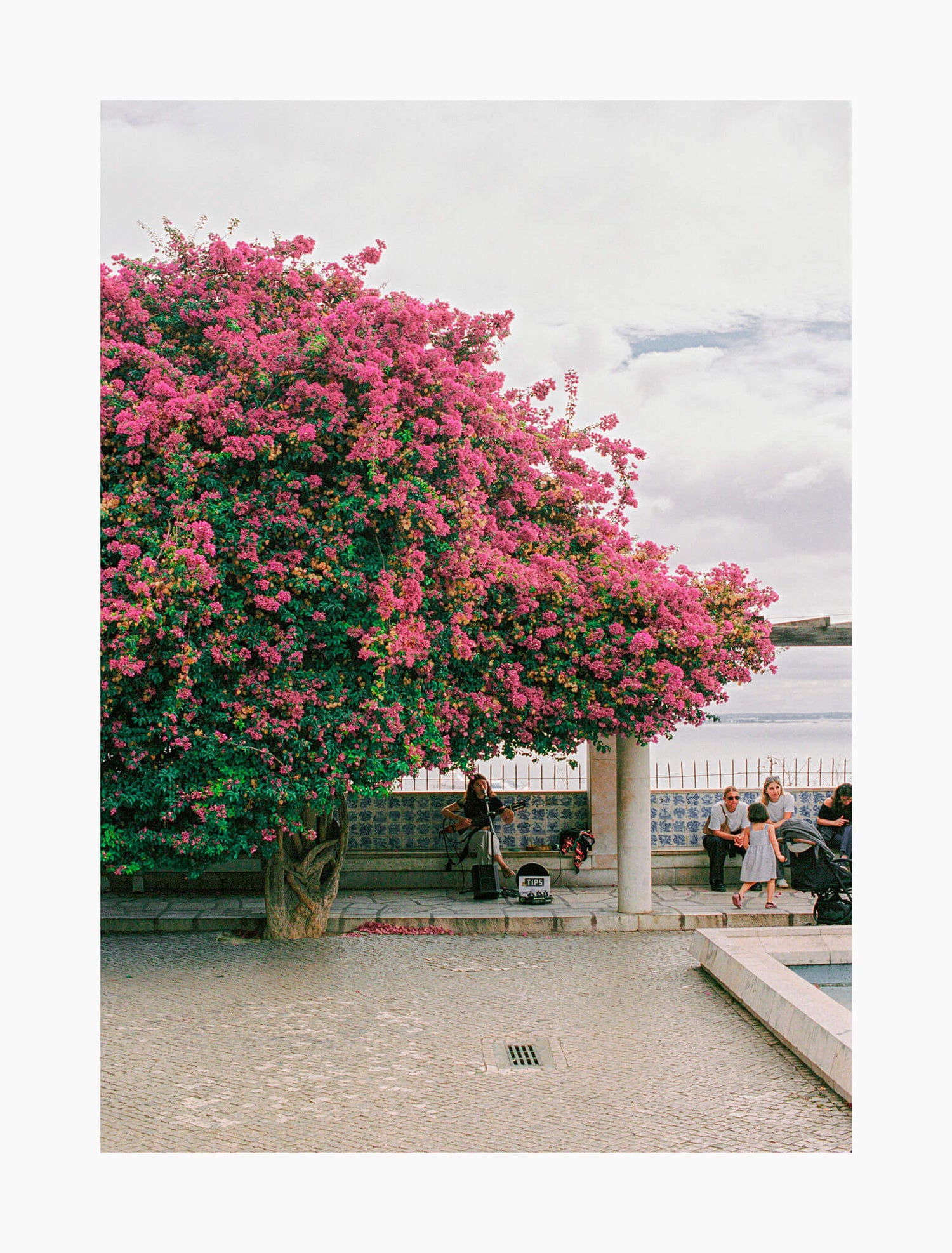 In the Singing Streets of Lisbon