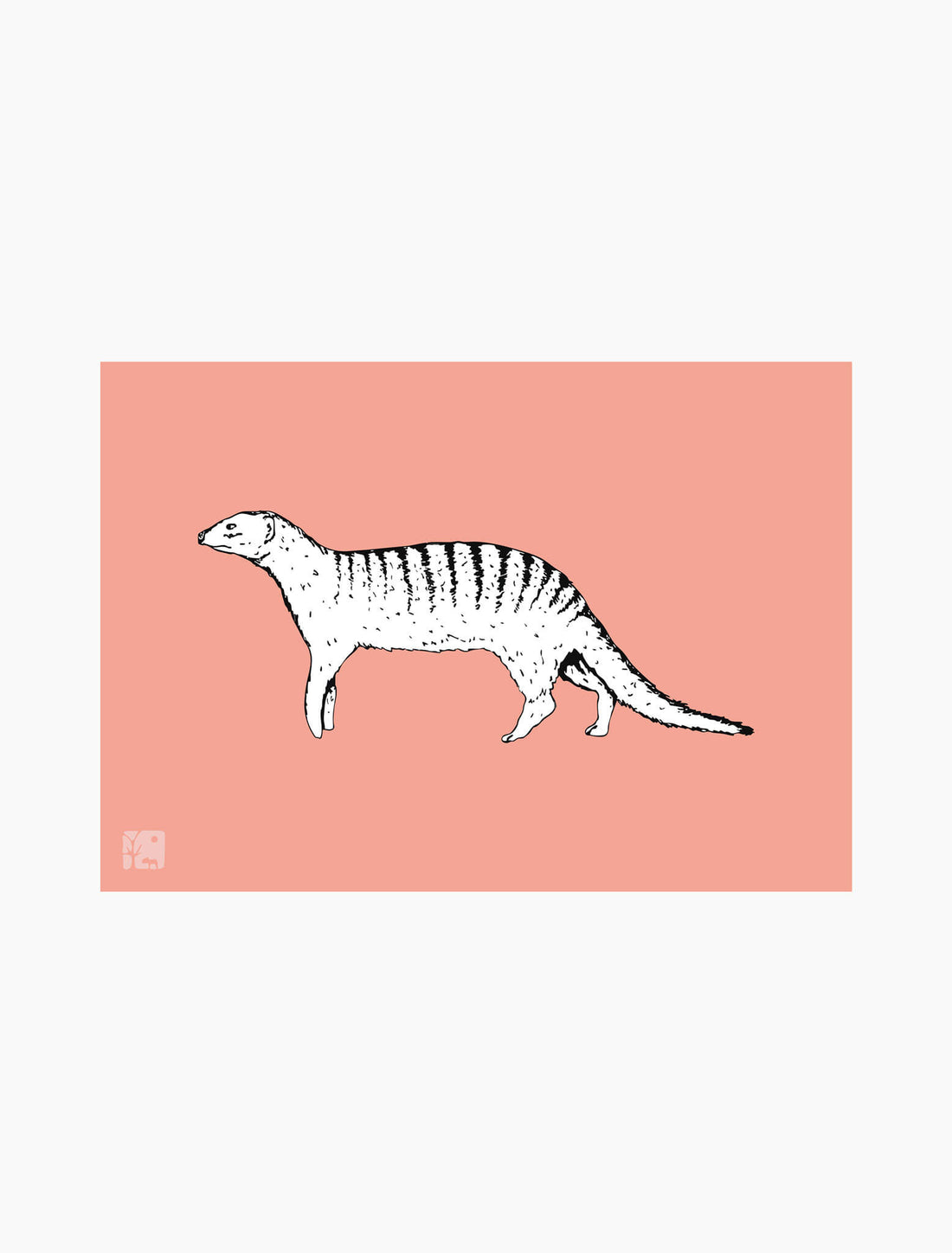 Mongoose