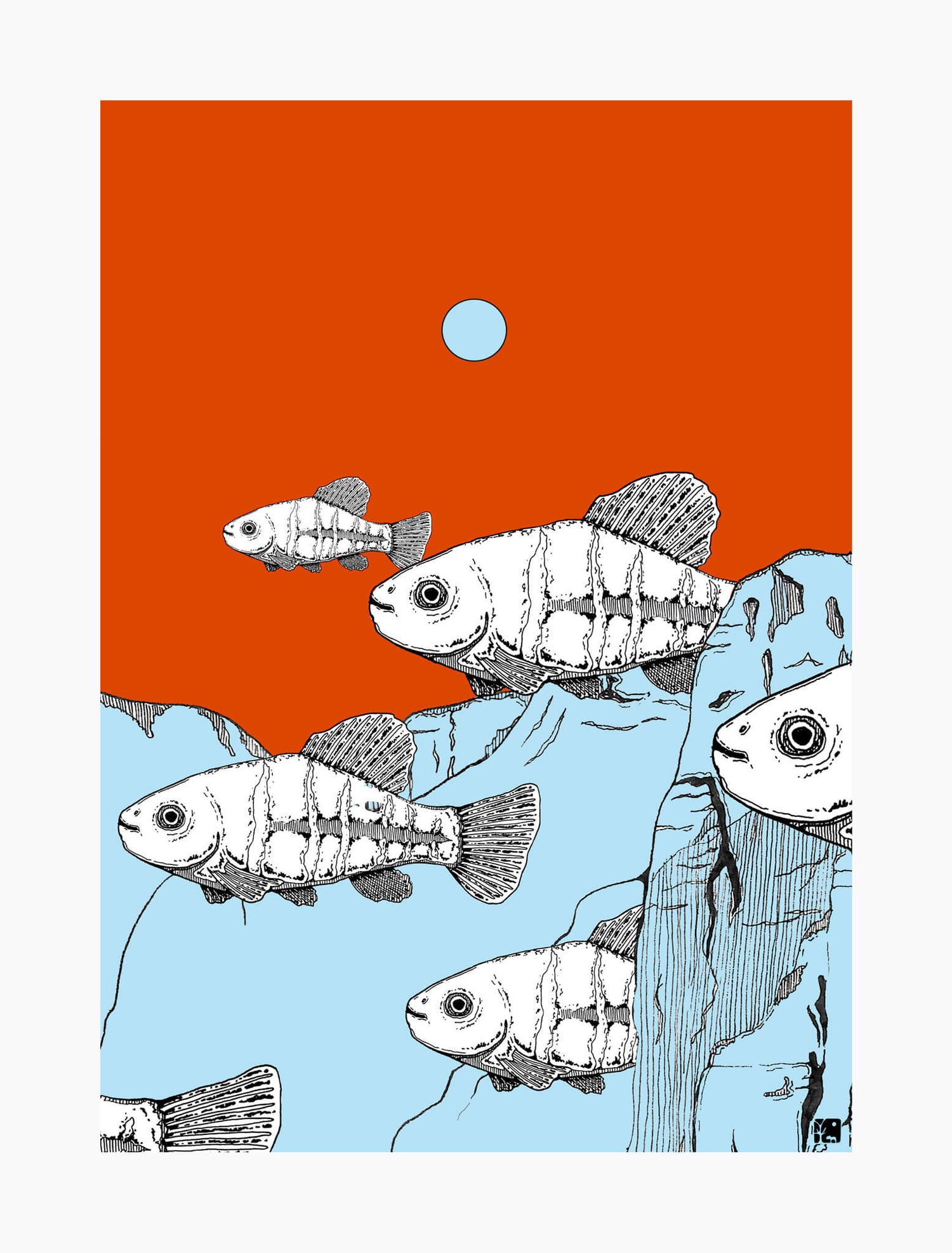 School of Fish