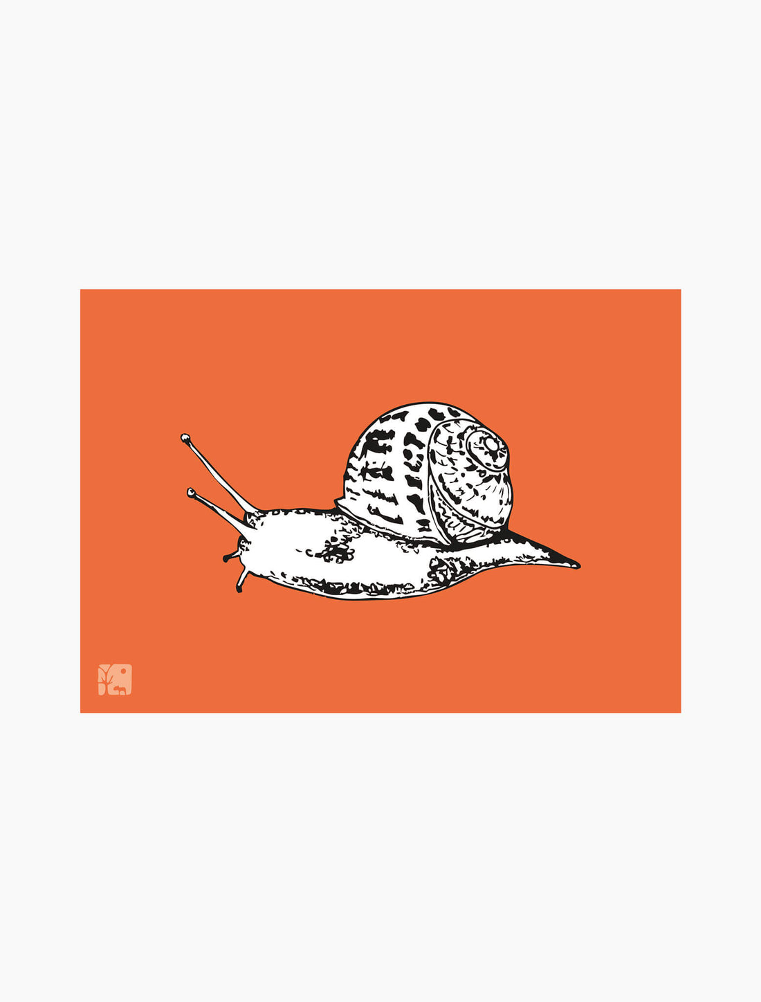Snail