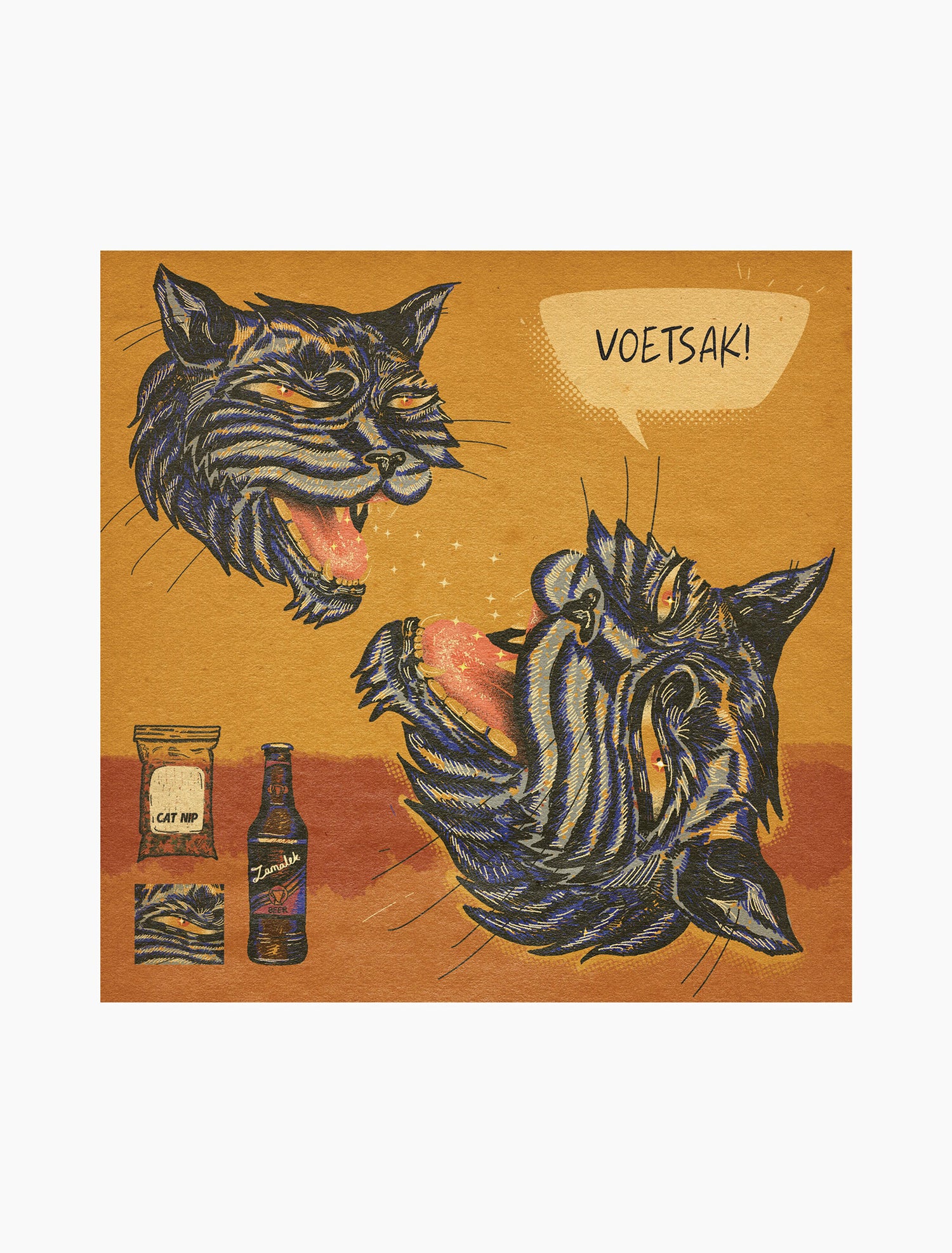 Voetsak Cat